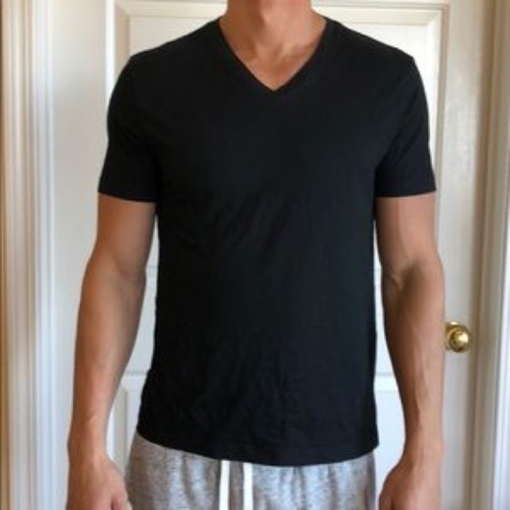 Two 2 Banana Republic Premium Pima V Neck Tee